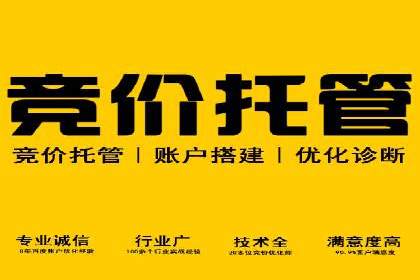 精准营销：百度推广平台的成功案例解析